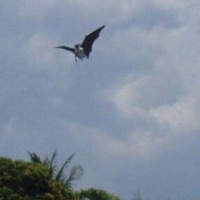 Visit tzusung's profile on GETTR. View their posts, photos, videos, and connect with them on the social platform.