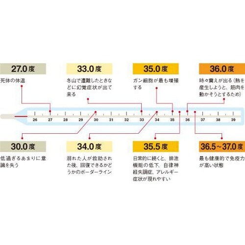 体温をあげる方法

低体温が病気のリスクであり、癌その他の入り口になることは知っていることでしょう。
しかし実際に体温をあげる方法となると悩んでしまうものです。
実は簡単なことですが一般人は気付いてい...