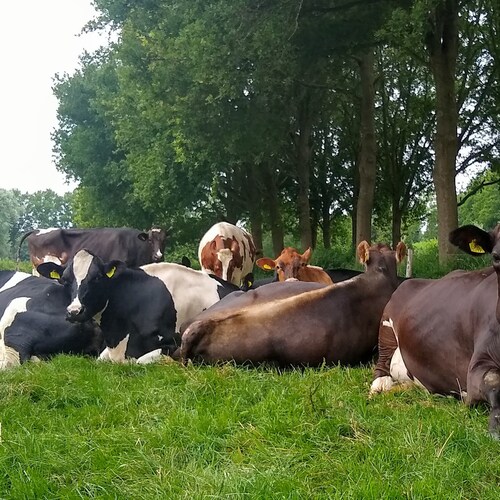 No farmers, no food!