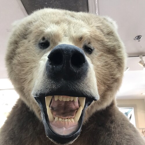 Conservative husband & father. Business owner for forty years.