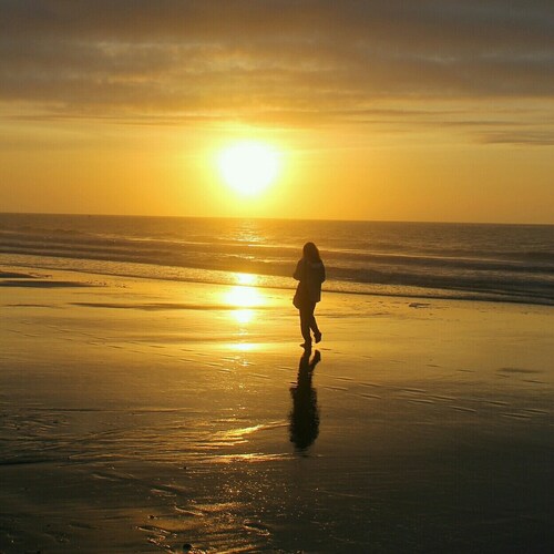 Former Fed; NRA member; Pro-life; Suspended from Twitter on 1/8/21 & now permanentlly suspended from X.  #MAGA #IFBAP 🇺...