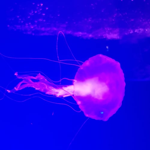 Visit digital_1911's profile on GETTR. View their posts, photos, videos, and connect with them on the social platform.