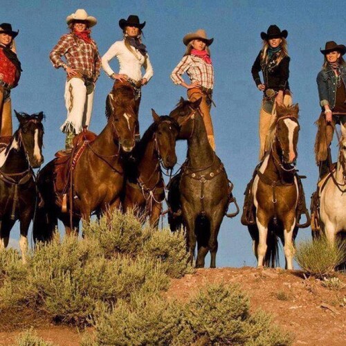 🇺🇸#TRUMPWON‼️ 🤠🌵 #CowgirlsForTrump👉 We Are The #ForgottenAmericans 🥀🇺🇸 Order our #MadeInUSA Shirts Today‼️ Since...