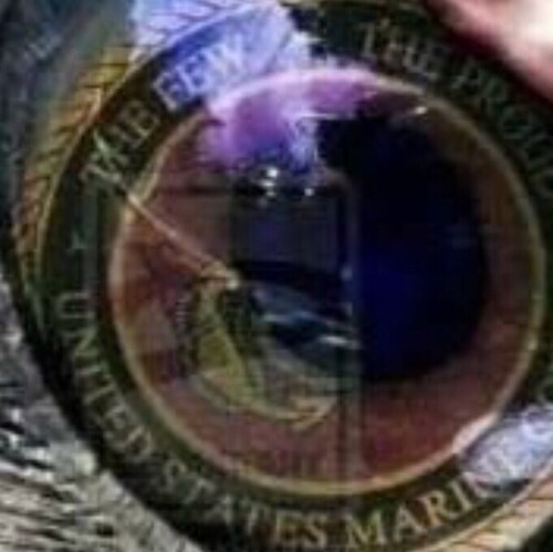 Fed Up Patriot. US Marine.