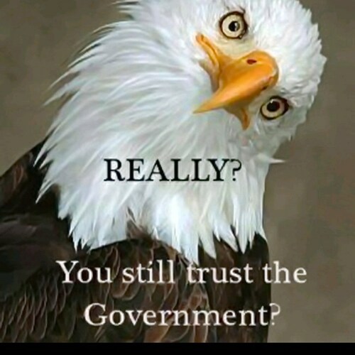 Visit wladisladaustri🍊's profile on GETTR. View their posts, photos, videos, and connect with them on the social platform.