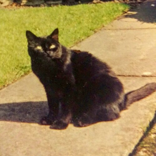 Work Hard, like National Hunt Racing.