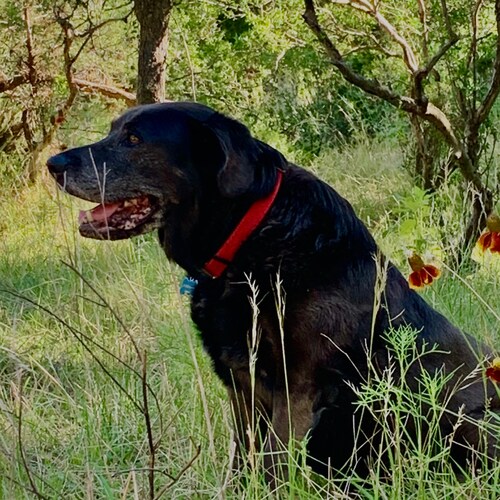 Integrity has no need for rules.