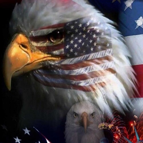 Patriotic , american Freedom loving,  2nd Amendment supporter, singal mom who would do anything for her kids and country. GOD BLESS AMERICA AND ALL AMERICANS.
