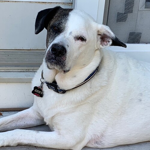 Happy Wifey
Trump supporter
America First 🇺🇸