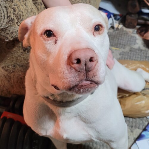 I'm here 'cause Joe thinks it's cool and Joyless hates it.