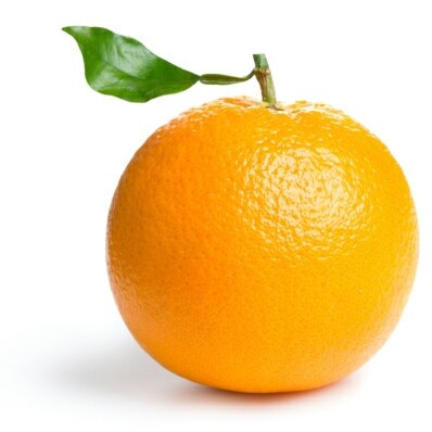 🍊🍊🍊🍊🍊