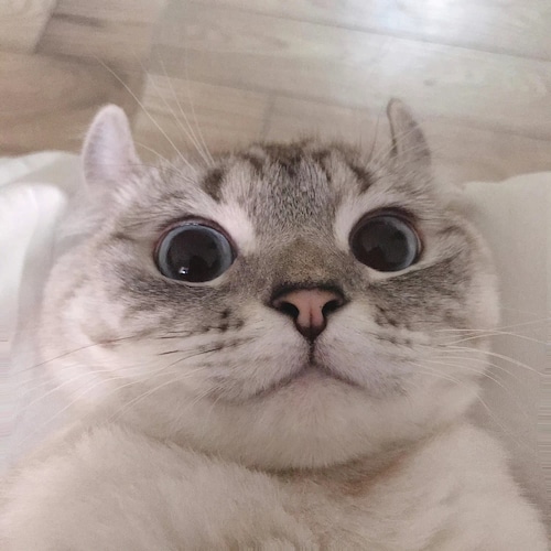 9月16日，户晨风再次被封。