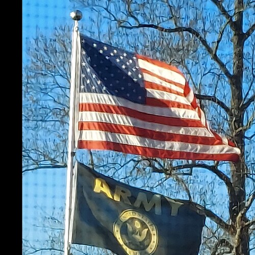 75 yr. old Husband, Father of 3, Christian, Patriot, Purple Heart Vet. 35 yr. Nuke plant chemist. ret.