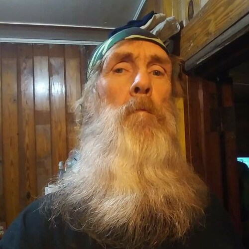 oDochartaigh         Hillbilly                  Hermit                      Cigar Box Guitar Dogs
