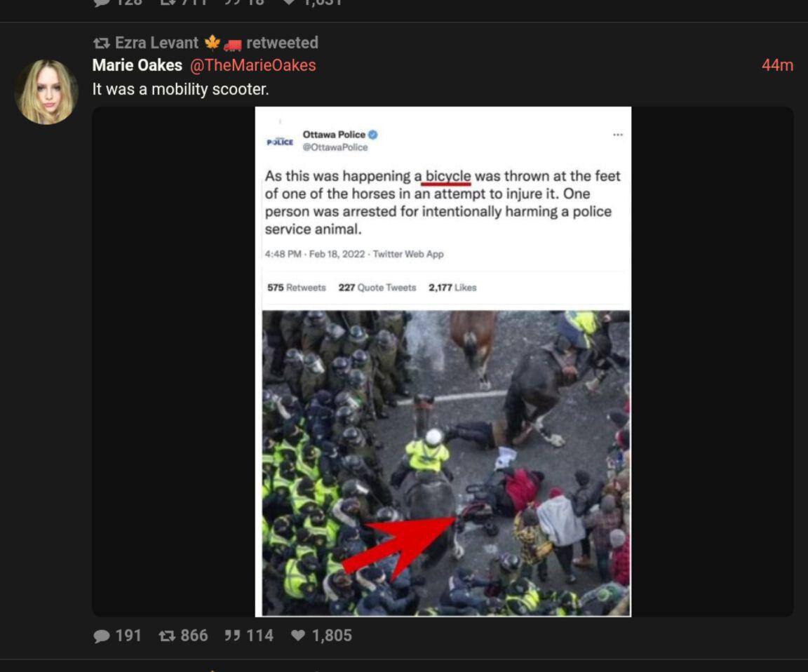 Ottawa police are dirty lying scumbags.