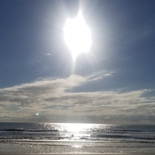 Visit RehabMom's profile on GETTR. View their posts, photos, videos, and connect with them on the social platform.