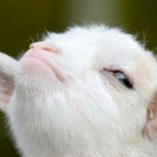 30 yrs USAF (ret) | Ready for chapter 2 | American first, Conservative second | Han fired first