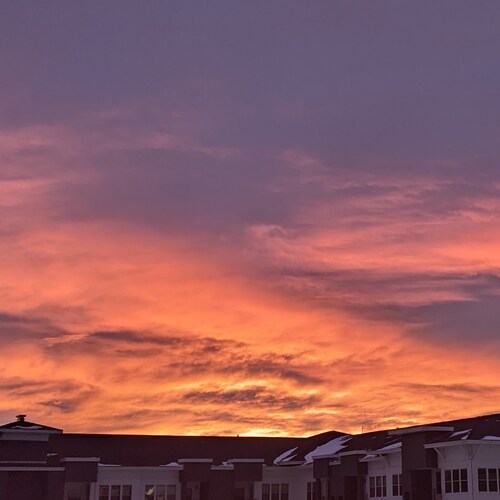 Suspicion breeds confidence