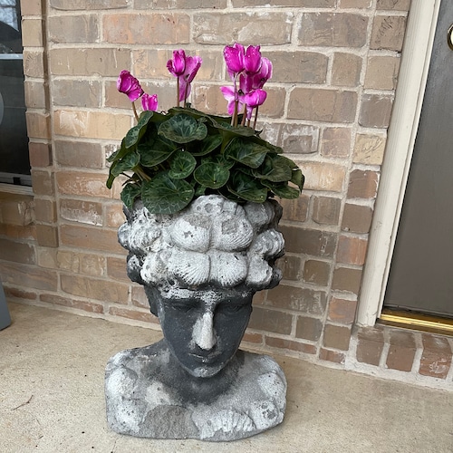 verified Grandma, identify as Texan