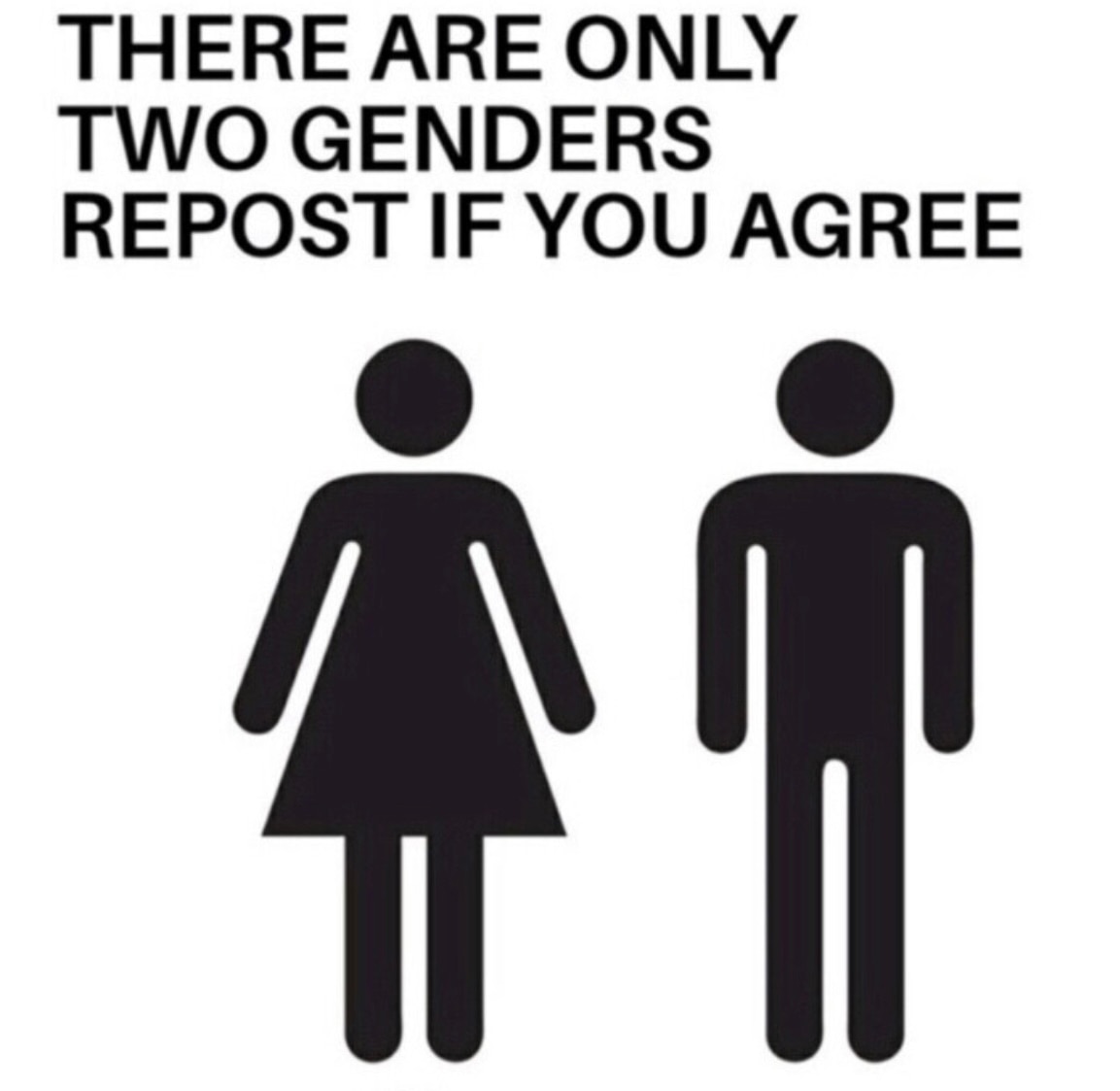 View Danielle D'Souza Gill's post on GETTR. Join the discussion, share your thoughts, and connect with the community.