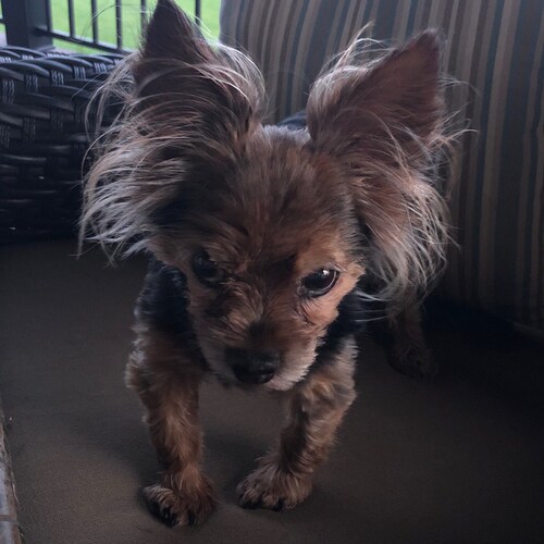 Concerned Republican,  God 1st, Family 2nd,