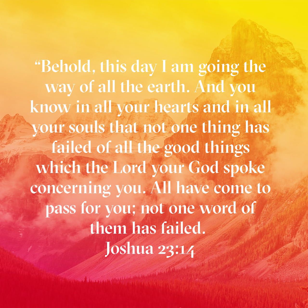 My GOD is a Promise Keeper
 

