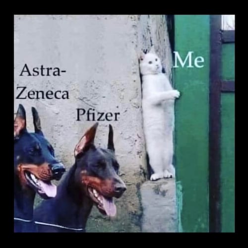 Visit 8ma8ma3shi's profile on GETTR. View their posts, photos, videos, and connect with them on the social platform.