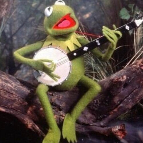 Pureblood guy who loves God, family,country,first responders,hates the Marxist left and everything they stand for. F joe...