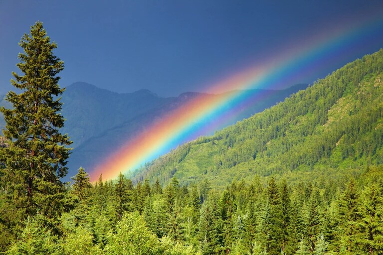 I have set my rainbow in the clouds, and it will be the sign of the covenant between me and the earth. I will remember my covenant between me and you and a