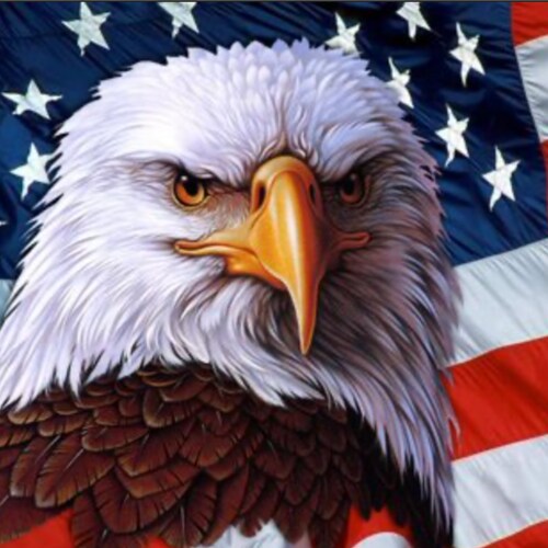 American, Veteran, Patriot