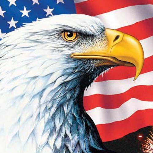 Patriot stemming from colonist settlement in Jamestown, VA. Mama Bear. Hard work, not handouts. Education, not indoctrin...