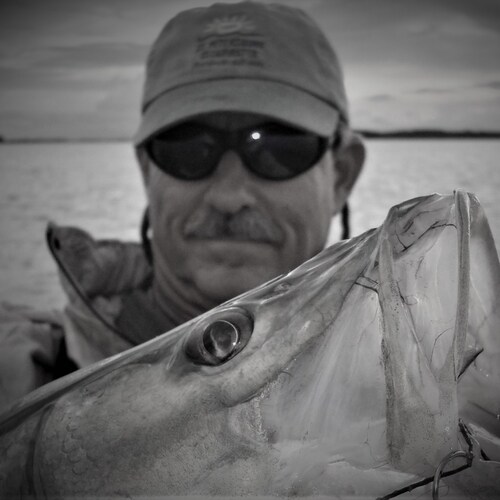 Pigs don't fly, so stop adding PORK to all the crap bills you try to pass, Democrats!