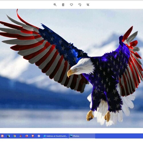 Former Democrat in L.A., Former Republican in the Stalinist state of NY, now just America First MAGA!  Retired IT Profes...