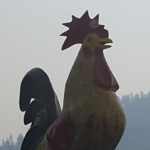 Patriotic Conservative American