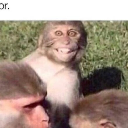 Mostly conservative, little bit populist, quite a bit American nationalist. Americans 1st.