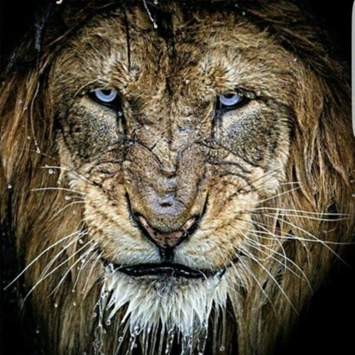 1Ti4:1 Now the Spirit speaketh expressly, that in the latter times some shall depart from the faith, giving heed to sedu...