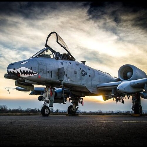 The Way of the Cross Leads Home