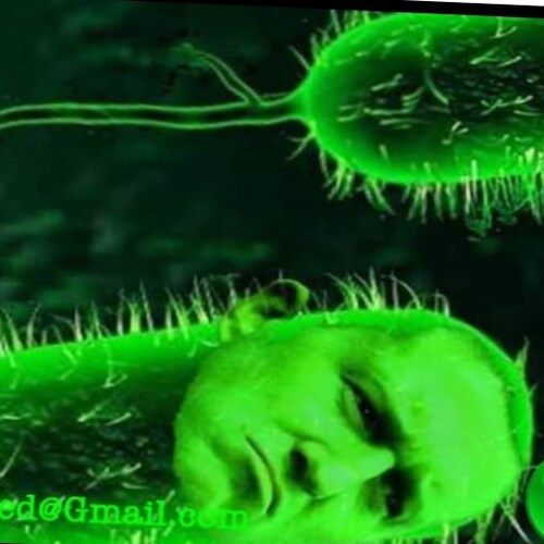 Visit Tommy Robinson Exposed's profile on GETTR. View their posts, photos, videos, and connect with them on the social platform.