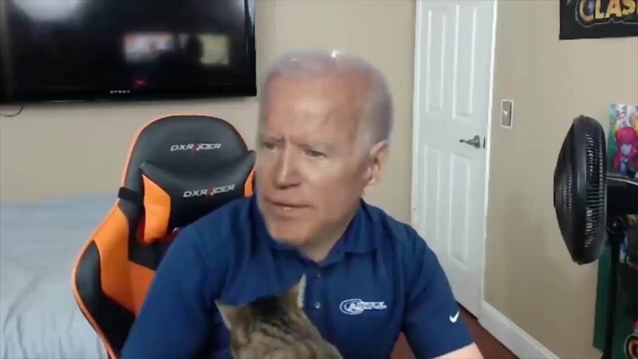 Joe Biden and his new cat Willow! Meow...😹😹