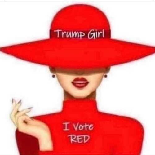 Conservative Christian Constitutionalist