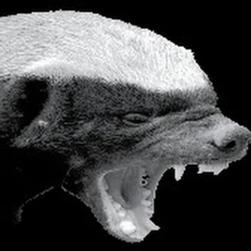 I've decided to run for U. S. Congress again in my district here in Michigan for 2024. News & updates will be posted her...