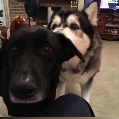 Retired oncology nurse