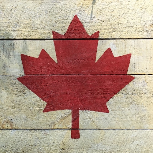 I’m a Citizen of The Small Fringe Minority Group known as CANADA. 

Proudly Canadian!