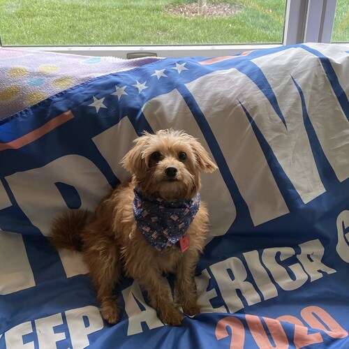 Proud supporter of President     
 Donald J Trump
Mom of four-Mimi of six   Proud conservative 
      #trump2024