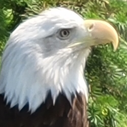 We are under attack from within. Act accordingly. Just some Random Guy on the right.. Hold  the line.