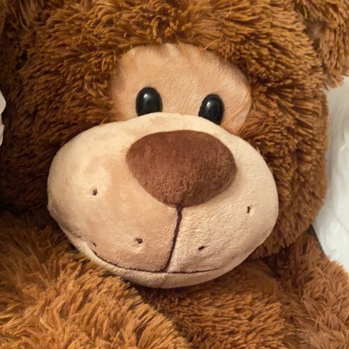 The original Teddy Bear patriot, MAGA girl, antiRINO and antiLeft... let’s go, Patriots! 2022 and 2024