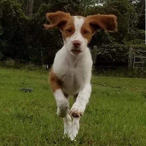 I can do all things through Christ