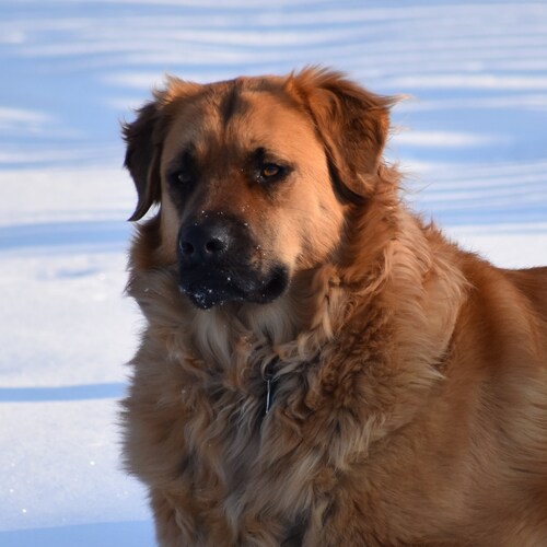 Visit Pattymac3303's profile on GETTR. View their posts, photos, videos, and connect with them on the social platform.