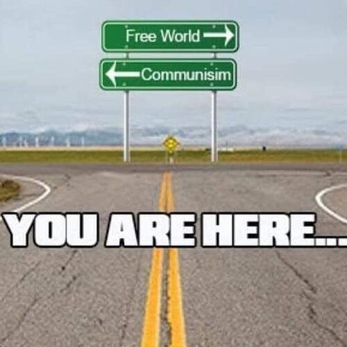 Ruby Red Patriot Thriving in a Navy Blue Abyss