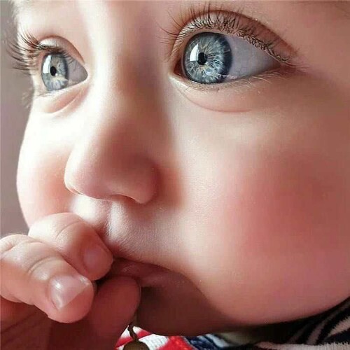 Visit Jackusa's profile on GETTR. View their posts, photos, videos, and connect with them on the social platform.